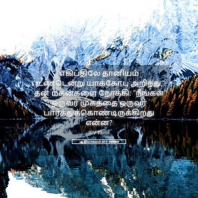 Picture 05 - ஆதியாகமம் 42:1 TAMIRV - எகிப்திலே தானியம் - Bible Verse Picture