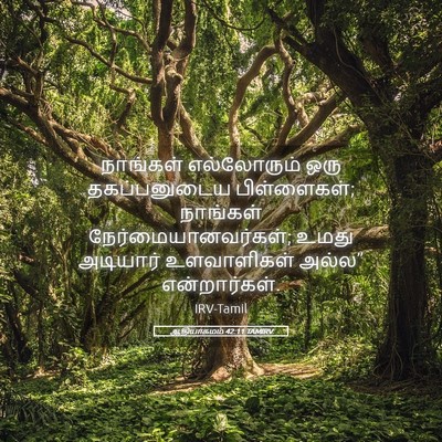 Picture 05 - ஆதியாகமம் 42:11 TAMIRV - நாங்கள் எல்லோரும் - Bible Verse Picture