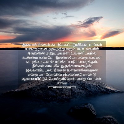 Picture 05 - ஆதியாகமம் 42:16 TAMIRV - இதனால் நீங்கள் - Bible Verse Picture