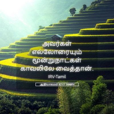 Picture 05 - ஆதியாகமம் 42:17 TAMIRV - அவர்கள் - Bible Verse Picture