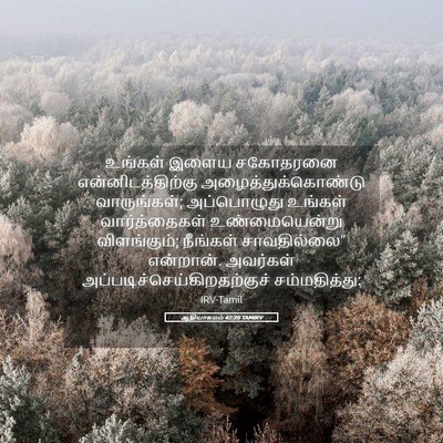 Picture 05 - ஆதியாகமம் 42:20 TAMIRV - உங்கள் இளைய - Bible Verse Picture