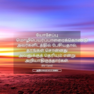 Picture 05 - ஆதியாகமம் 42:23 TAMIRV - யோசேப்பு - Bible Verse Picture