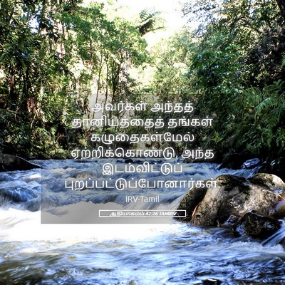 Picture 05 - ஆதியாகமம் 42:26 TAMIRV - அவர்கள் அந்தத் - Bible Verse Picture