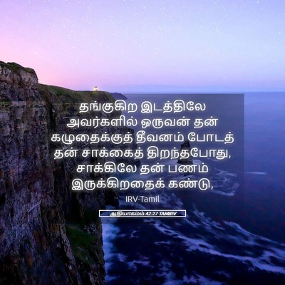 Picture 05 - ஆதியாகமம் 42:27 TAMIRV - தங்குகிற இடத்திலே - Bible Verse Picture