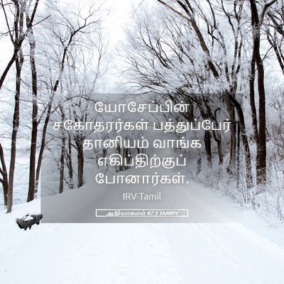 Picture 05 - ஆதியாகமம் 42:3 TAMIRV - யோசேப்பின் - Bible Verse Picture