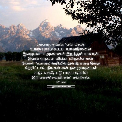 Picture 05 - ஆதியாகமம் 42:38 TAMIRV - அதற்கு அவன்: “என் - Bible Verse Picture