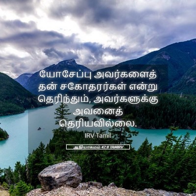 Picture 05 - ஆதியாகமம் 42:8 TAMIRV - யோசேப்பு - Bible Verse Picture