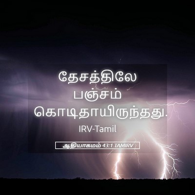 Picture 05 - ஆதியாகமம் 43:1 TAMIRV - தேசத்திலே பஞ்சம் - Bible Verse Picture