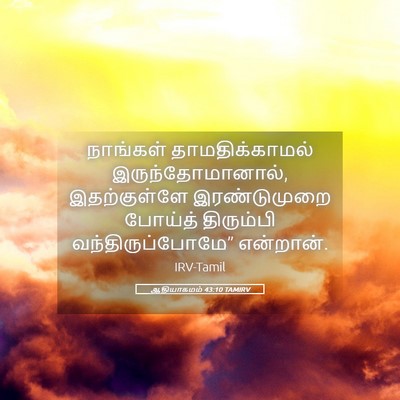 Picture 05 - ஆதியாகமம் 43:10 TAMIRV - நாங்கள் - Bible Verse Picture