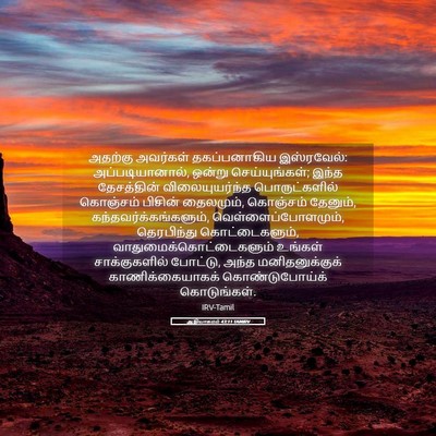 Picture 05 - ஆதியாகமம் 43:11 TAMIRV - அதற்கு அவர்கள் - Bible Verse Picture