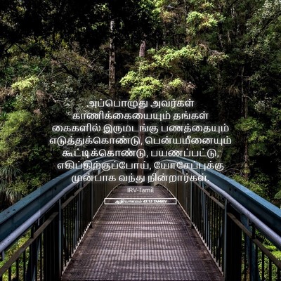 Picture 05 - ஆதியாகமம் 43:15 TAMIRV - அப்பொழுது அவர்கள் - Bible Verse Picture