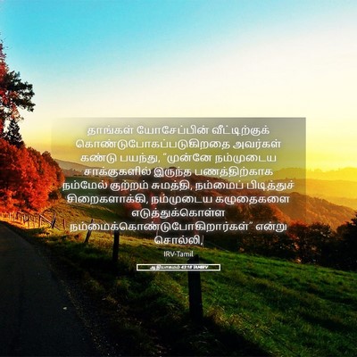 Picture 05 - ஆதியாகமம் 43:18 TAMIRV - தாங்கள் - Bible Verse Picture