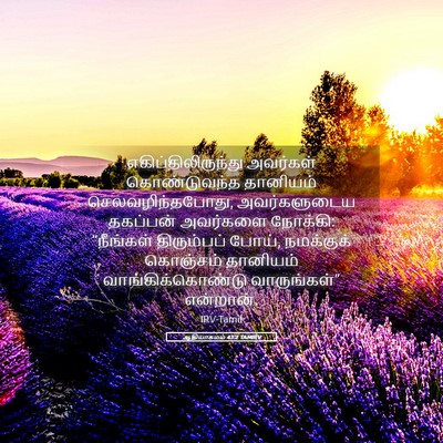 Picture 05 - ஆதியாகமம் 43:2 TAMIRV - எகிப்திலிருந்து - Bible Verse Picture