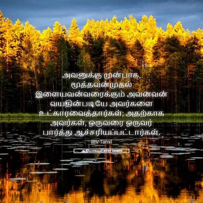 Picture 05 - ஆதியாகமம் 43:33 TAMIRV - அவனுக்கு முன்பாக, - Bible Verse Picture