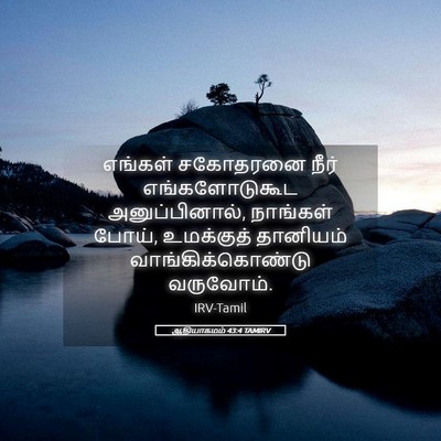Picture 05 - ஆதியாகமம் 43:4 TAMIRV - எங்கள் சகோதரனை - Bible Verse Picture