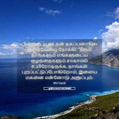 Picture 05 - ஆதியாகமம் 43:8 TAMIRV - பின்னும், யூதா தன் - Bible Verse Picture