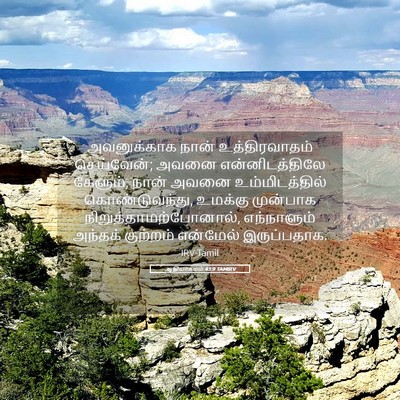 Picture 05 - ஆதியாகமம் 43:9 TAMIRV - அவனுக்காக நான் - Bible Verse Picture