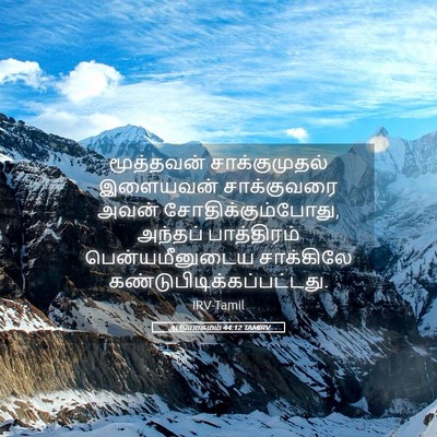 Picture 05 - ஆதியாகமம் 44:12 TAMIRV - மூத்தவன் - Bible Verse Picture
