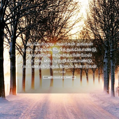Picture 05 - ஆதியாகமம் 44:13 TAMIRV - அப்பொழுது அவர்கள் - Bible Verse Picture