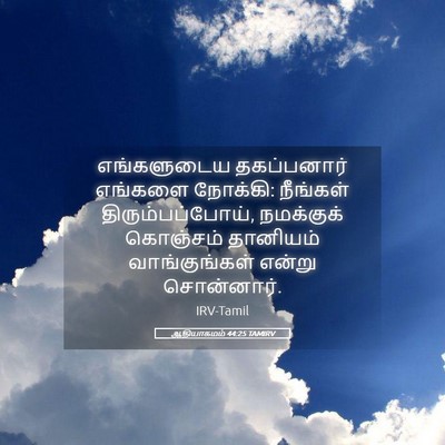 Picture 05 - ஆதியாகமம் 44:25 TAMIRV - எங்களுடைய - Bible Verse Picture