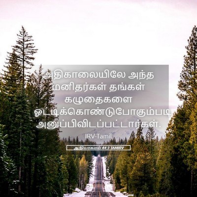 Picture 05 - ஆதியாகமம் 44:3 TAMIRV - அதிகாலையிலே அந்த - Bible Verse Picture