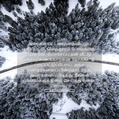 Picture 05 - ஆதியாகமம் 44:4 TAMIRV - அவர்கள் - Bible Verse Picture