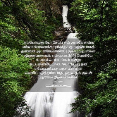 Picture 05 - ஆதியாகமம் 45:1 TAMIRV - அப்பொழுது - Bible Verse Picture