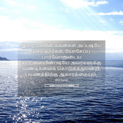 Picture 05 - ஆதியாகமம் 45:21 TAMIRV - இஸ்ரவேலின் - Bible Verse Picture