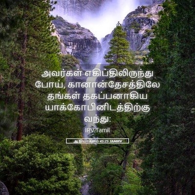 Picture 05 - ஆதியாகமம் 45:25 TAMIRV - அவர்கள் - Bible Verse Picture