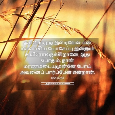 Picture 05 - ஆதியாகமம் 45:28 TAMIRV - அப்பொழுது - Bible Verse Picture