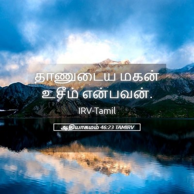 Picture 05 - ஆதியாகமம் 46:23 TAMIRV - தாணுடைய மகன் - Bible Verse Picture