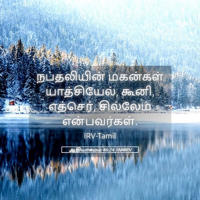 Picture 05 - ஆதியாகமம் 46:24 TAMIRV - நப்தலியின் - Bible Verse Picture