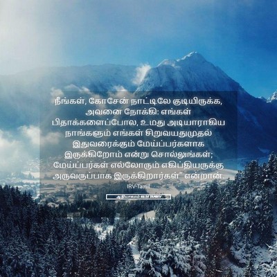 Picture 05 - ஆதியாகமம் 46:34 TAMIRV - நீங்கள், கோசேன் - Bible Verse Picture