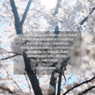 Picture 05 - ஆதியாகமம் 46:6 TAMIRV - தங்கள் - Bible Verse Picture