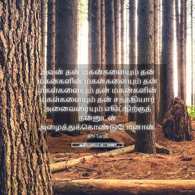 Picture 05 - ஆதியாகமம் 46:7 TAMIRV - அவன் தன் - Bible Verse Picture