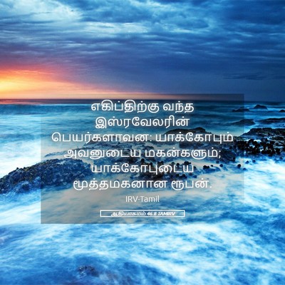 Picture 05 - ஆதியாகமம் 46:8 TAMIRV - எகிப்திற்கு வந்த - Bible Verse Picture