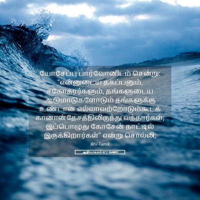 Picture 05 - ஆதியாகமம் 47:1 TAMIRV - யோசேப்பு - Bible Verse Picture