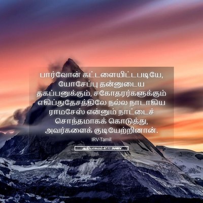 Picture 05 - ஆதியாகமம் 47:11 TAMIRV - பார்வோன் - Bible Verse Picture
