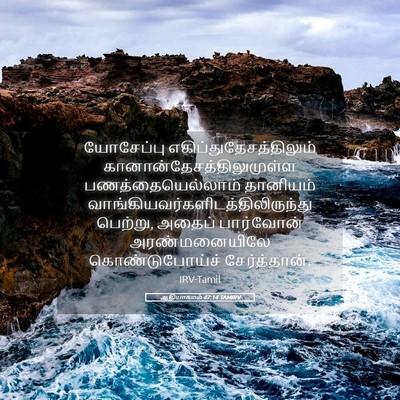 Picture 05 - ஆதியாகமம் 47:14 TAMIRV - யோசேப்பு - Bible Verse Picture