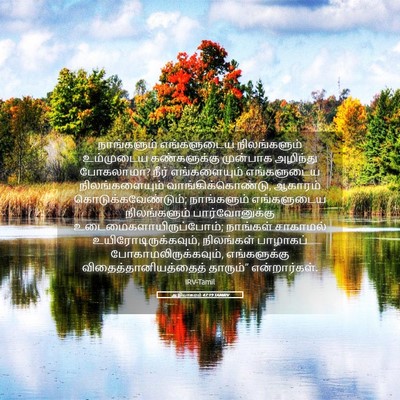 Picture 05 - ஆதியாகமம் 47:19 TAMIRV - நாங்களும் - Bible Verse Picture