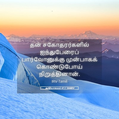 Picture 05 - ஆதியாகமம் 47:2 TAMIRV - தன் சகோதரர்களில் - Bible Verse Picture