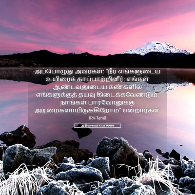 Picture 05 - ஆதியாகமம் 47:25 TAMIRV - அப்பொழுது - Bible Verse Picture