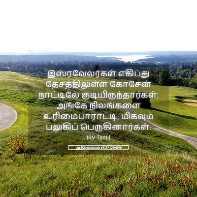 Picture 05 - ஆதியாகமம் 47:27 TAMIRV - இஸ்ரவேலர்கள் - Bible Verse Picture