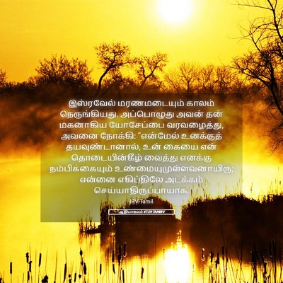 Picture 05 - ஆதியாகமம் 47:29 TAMIRV - இஸ்ரவேல் - Bible Verse Picture