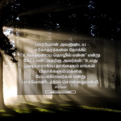 Picture 05 - ஆதியாகமம் 47:3 TAMIRV - பார்வோன் அவனுடைய - Bible Verse Picture