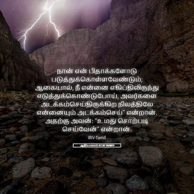 Picture 05 - ஆதியாகமம் 47:30 TAMIRV - நான் என் - Bible Verse Picture