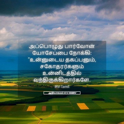 Picture 05 - ஆதியாகமம் 47:5 TAMIRV - அப்பொழுது - Bible Verse Picture