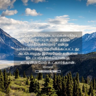 Picture 05 - ஆதியாகமம் 48:2 TAMIRV - “இதோ, உம்முடைய - Bible Verse Picture