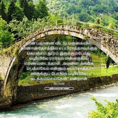 Picture 05 - ஆதியாகமம் 48:7 TAMIRV - நான் பதானை விட்டு - Bible Verse Picture