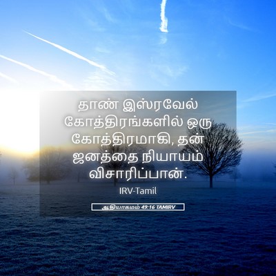 Picture 05 - ஆதியாகமம் 49:16 TAMIRV - தாண் இஸ்ரவேல் - Bible Verse Picture